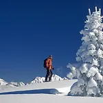 Laerchmoos Ramsau am Dachstein