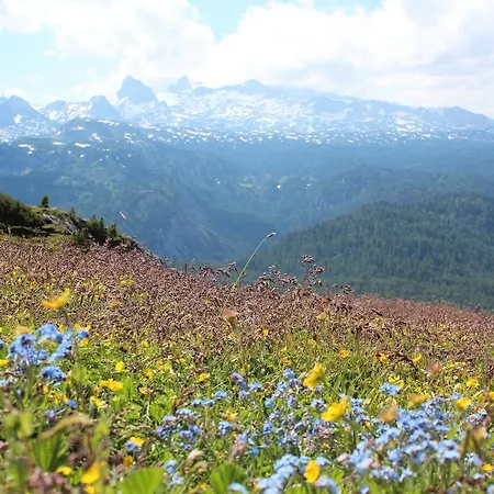 Apartament Laerchmoos Ramsau am Dachstein