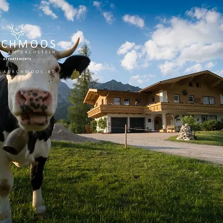 Laerchmoos Apartament