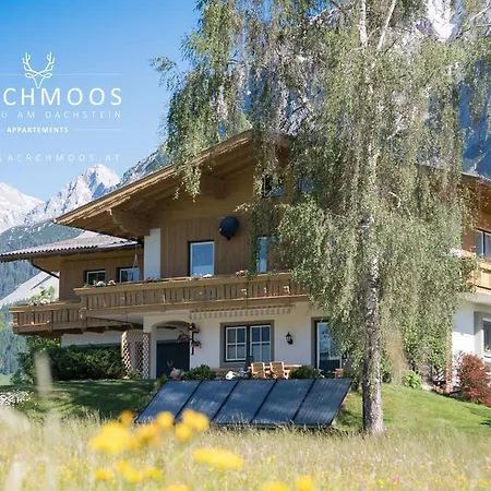 Lärchmoos *
