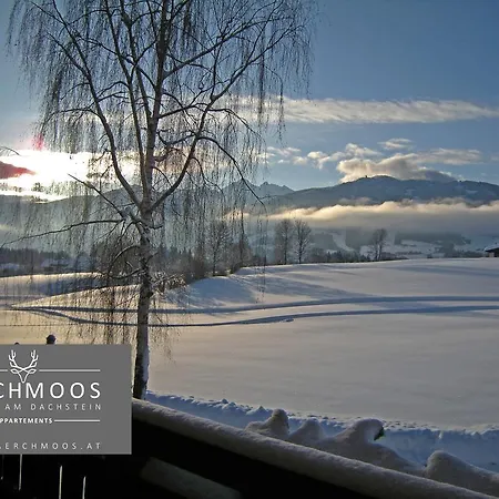 Lärchmoos Ramsau am Dachstein