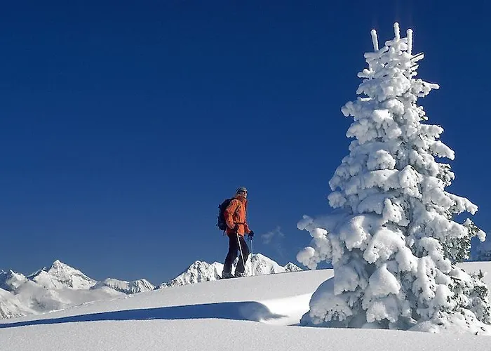 Laerchmoos Ramsau am Dachstein