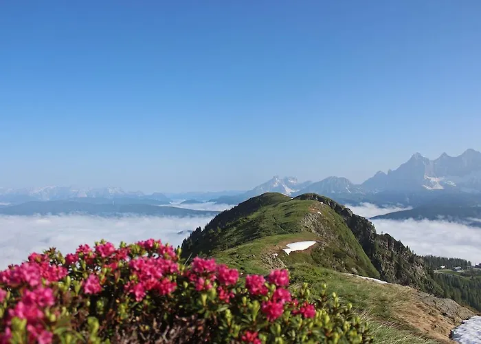 Laerchmoos Ramsau am Dachstein