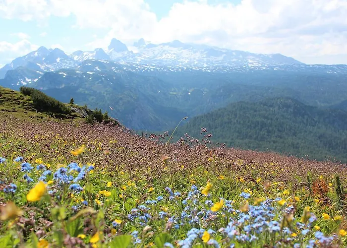 Apartment Laerchmoos Ramsau am Dachstein