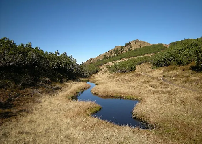 Laerchmoos Ramsau am Dachstein